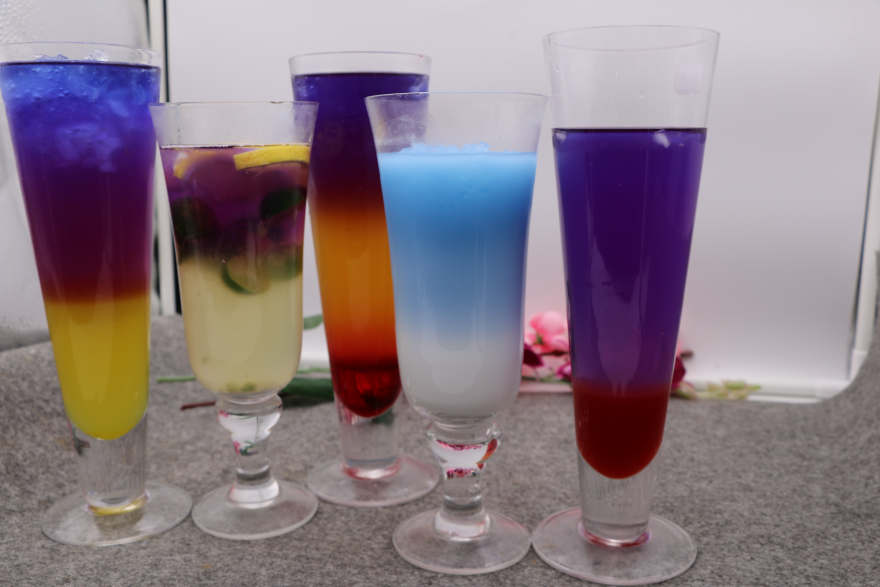 济南泰国蝶豆花培训